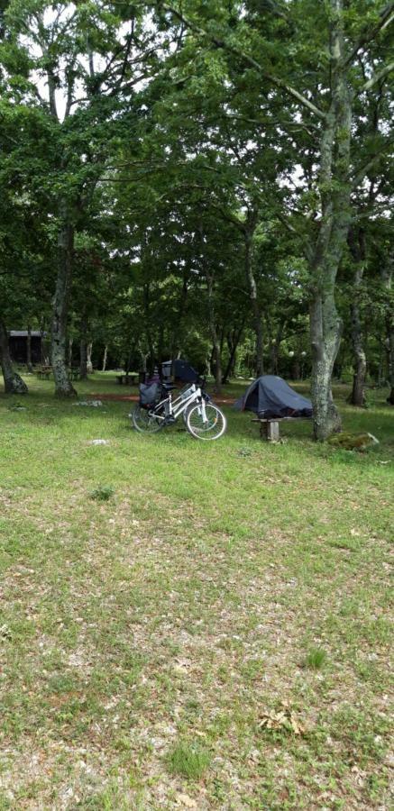 Bikers Camp Hotel Porec Exterior photo
